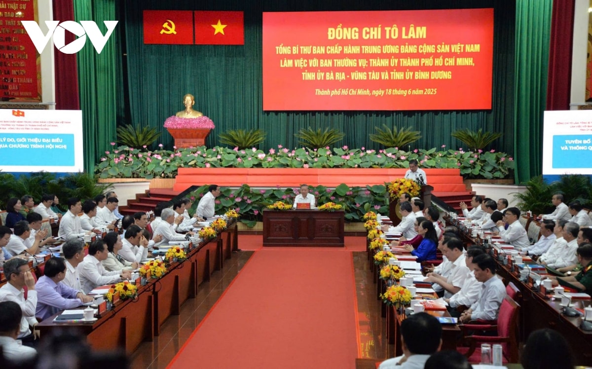 tong bi thu to lam lam viec voi tp.hcm, binh duong va ba ria vung tau hinh anh 5