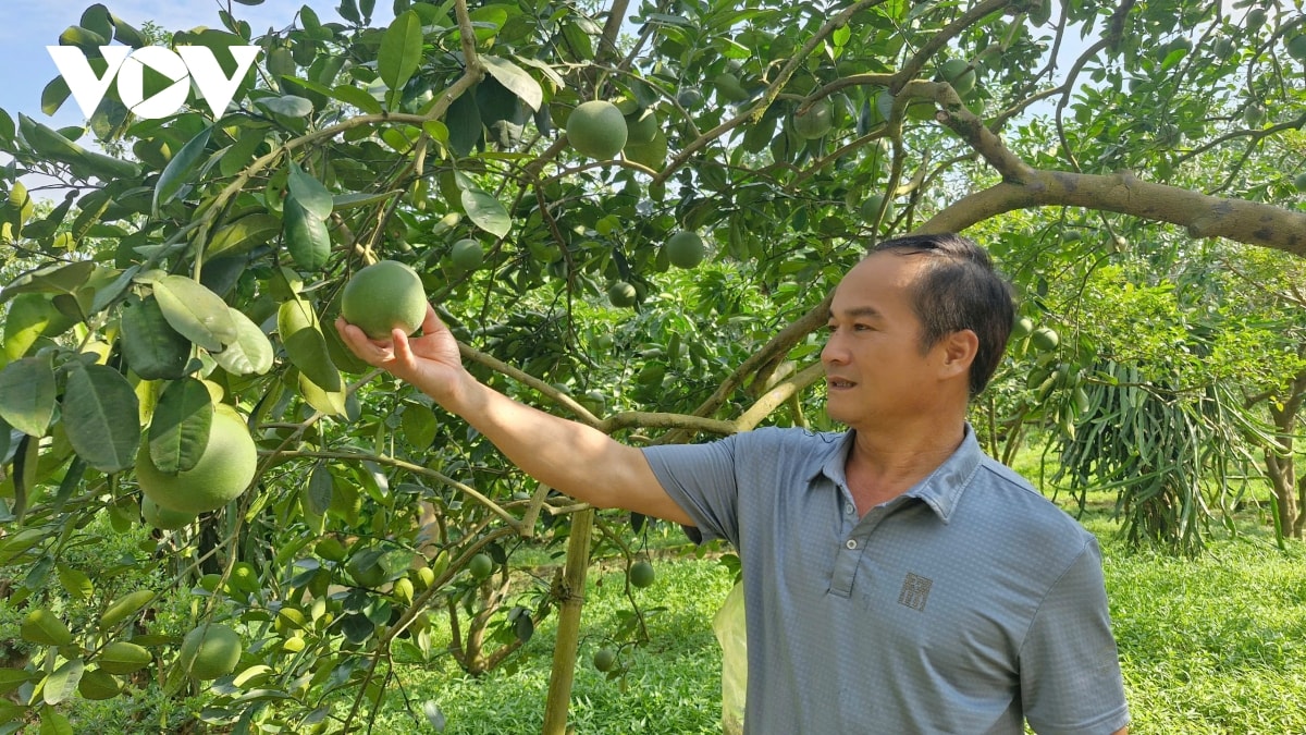 chuyển đổi số - Động lực phát triển nông nghiệp ở yên bái hình ảnh 2 chuyen doi so - Dong luc phat trien nong nghiep o yen bai hinh anh 2