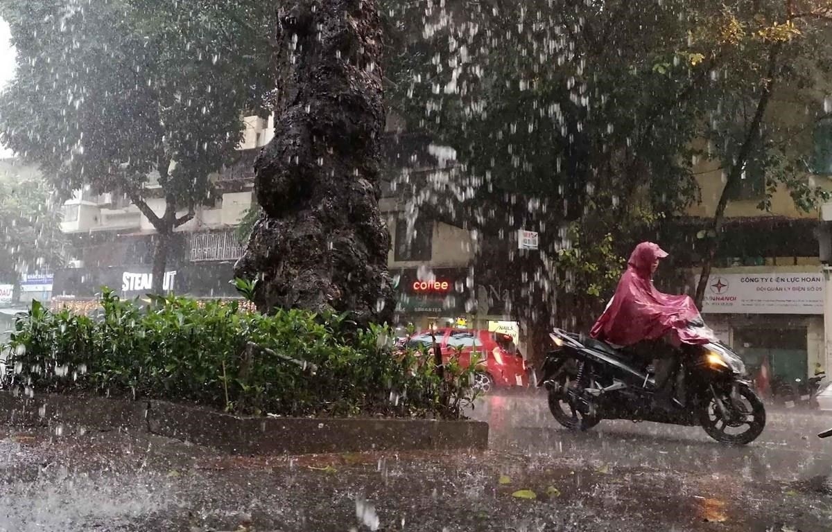 thời tiết hôm nay 20 6 trung du và đồng bằng bắc bộ có mưa rào hình ảnh 1 thoi tiet hom nay 20 6 trung du va dong bang bac bo co mua rao hinh anh 1