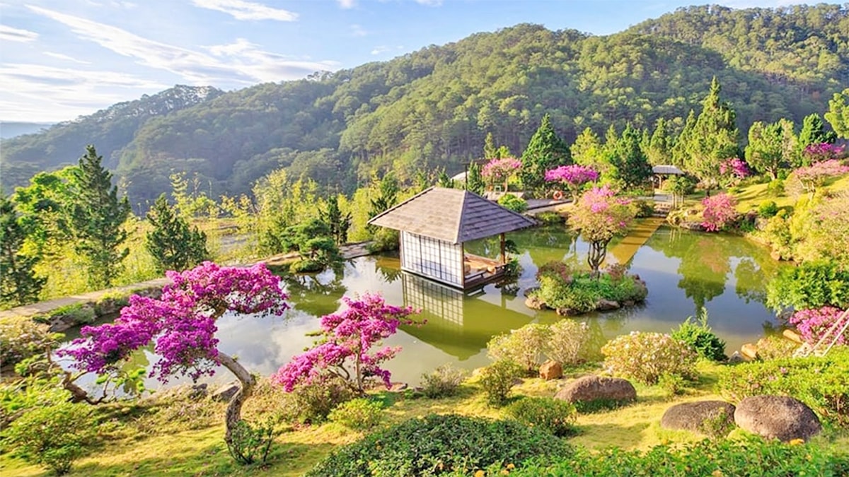 Đà lạt lọt top điểm đến chăm sóc sức khỏe hàng đầu châu Á hình ảnh 2 Da lat lot top diem den cham soc suc khoe hang dau chau A hinh anh 2
