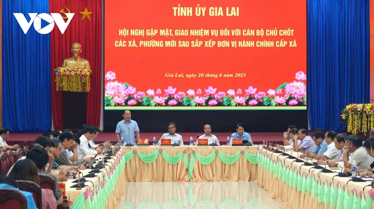 gia lai giao nhiệm vụ cho 231 cán bộ chủ chốt xã, phường sau sắp xếp hình ảnh 2 gia lai giao nhiem vu cho 231 can bo chu chot xa, phuong sau sap xep hinh anh 2