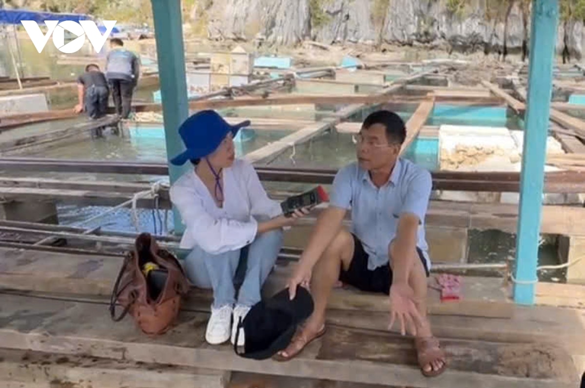 dấu ấn giải báo chí quốc gia năm 2024 của vov hình ảnh 4 dau an giai bao chi quoc gia nam 2024 cua vov hinh anh 4