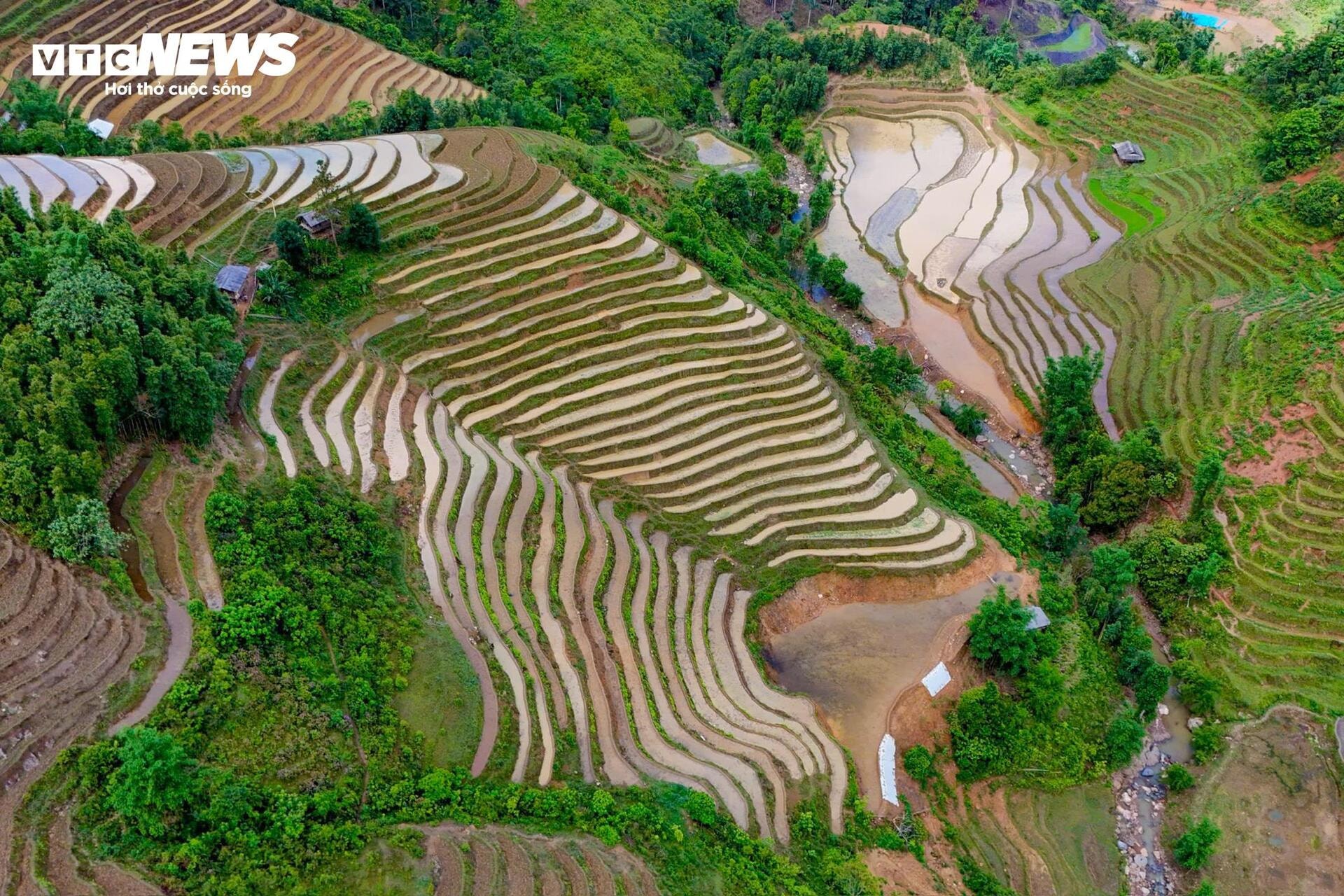 Ngỡ ngàng trước vẻ đẹp mùa nước đổ trên ruộng bậc thang ở Lào Cai - 2