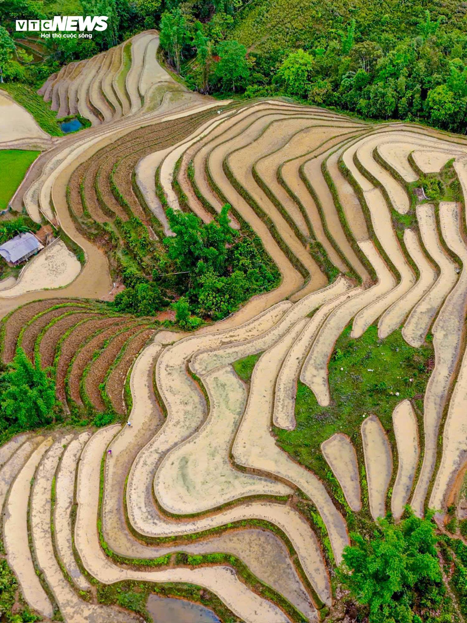 Ngỡ ngàng trước vẻ đẹp mùa nước đổ trên ruộng bậc thang ở Lào Cai - 4