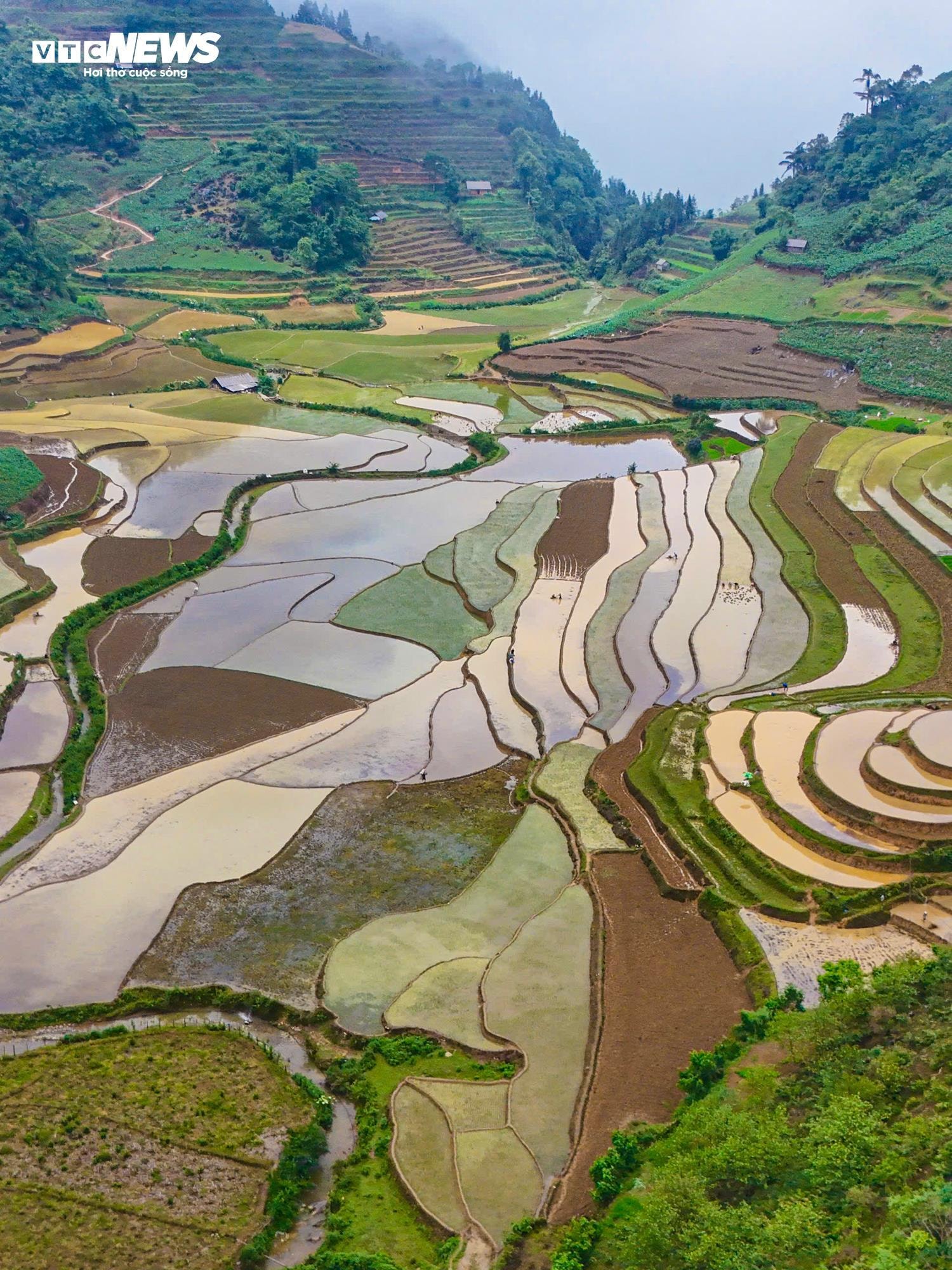 Ngỡ ngàng trước vẻ đẹp mùa nước đổ trên ruộng bậc thang ở Lào Cai - 5