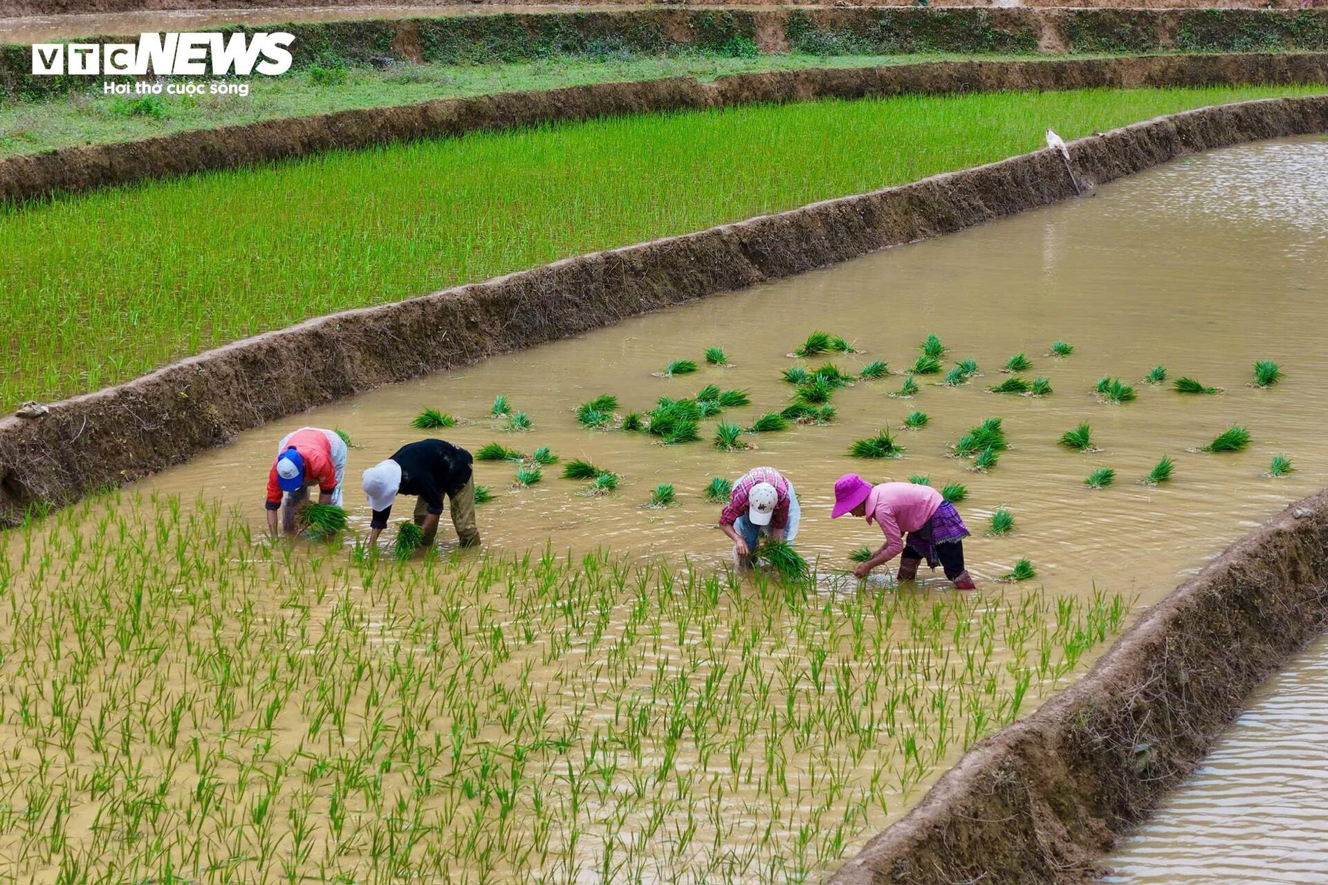 Ngỡ ngàng trước vẻ đẹp mùa nước đổ trên ruộng bậc thang ở Lào Cai - 6