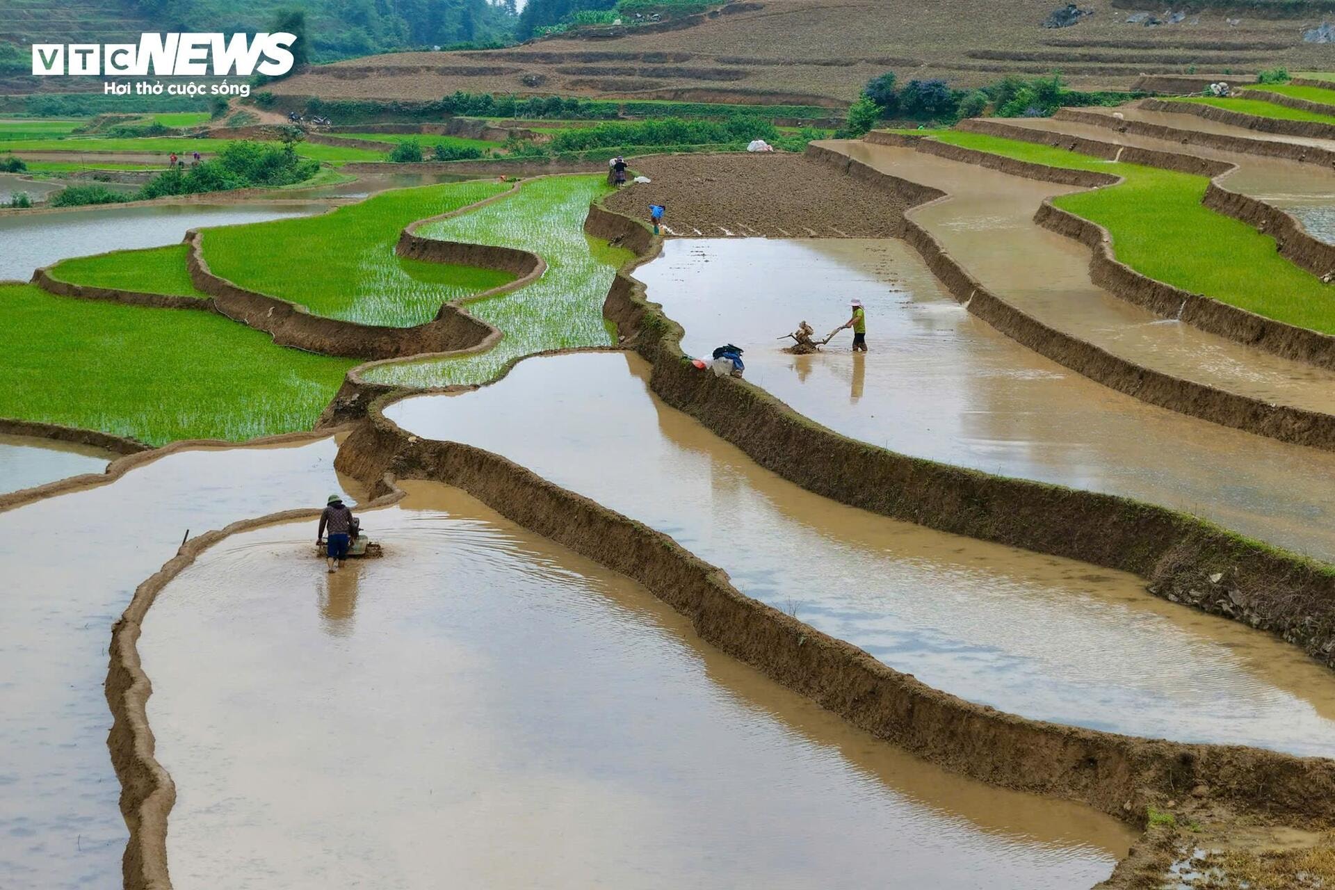 Ngỡ ngàng trước vẻ đẹp mùa nước đổ trên ruộng bậc thang ở Lào Cai - 7