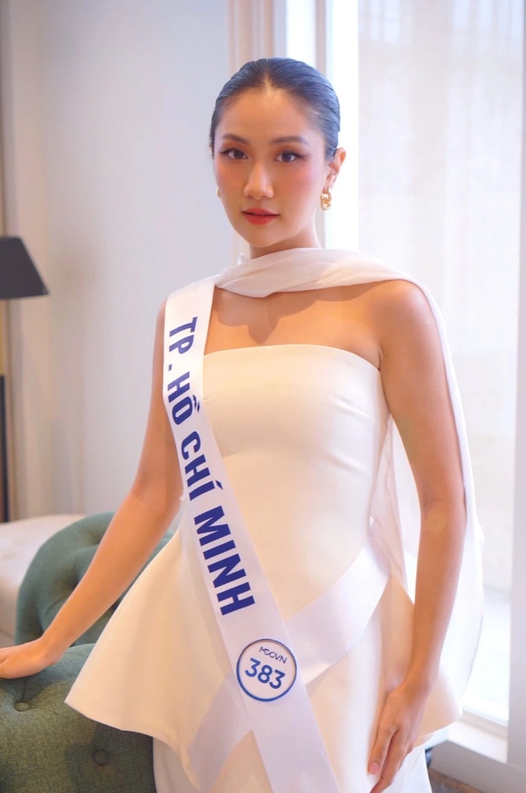 Trước đó, cô từng làm việc tại một trong bốn tập đoàn kiểm toán lớn nhất thế giới với vai trò chuyên viên kiểm toán Công nghệ thông tin.