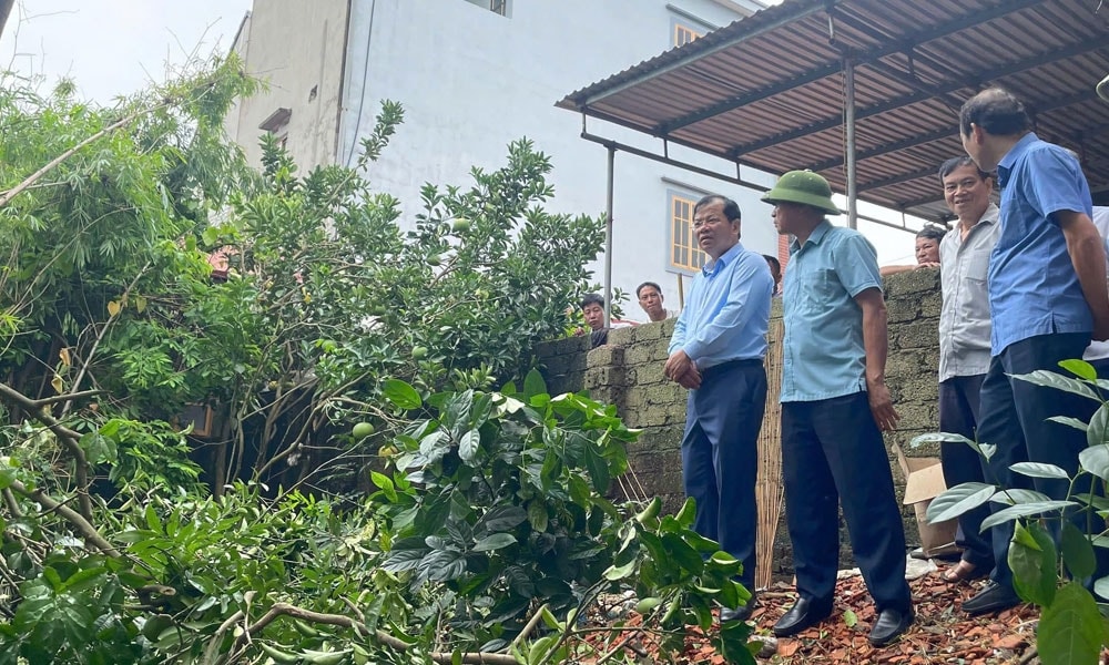 lũ sông ở bắc giang dâng cao, hàng trăm ha hoa màu bị ảnh hưởng hình ảnh 5 lu song o bac giang dang cao, hang tram ha hoa mau bi anh huong hinh anh 5