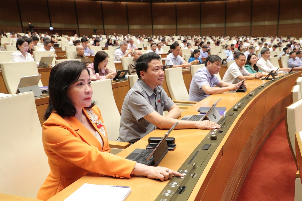 luật thanh tra sửa đổi với 2 cấp gồm thanh tra chính phủ và thanh tra tỉnh hình ảnh 2 luat thanh tra sua doi voi 2 cap gom thanh tra chinh phu va thanh tra tinh hinh anh 2