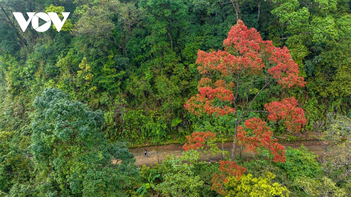 kham pha mua he mat lanh o hue, tu bien loc binh den dinh bach ma hinh anh 6