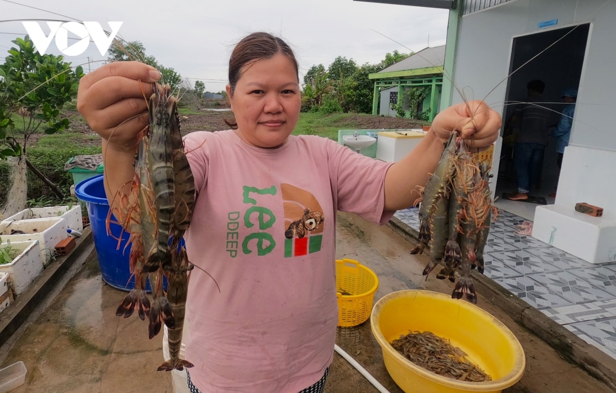 Dbscl kien tao cuc tang truong moi sau sap nhap de vuon minh ra bien lon hinh anh 1