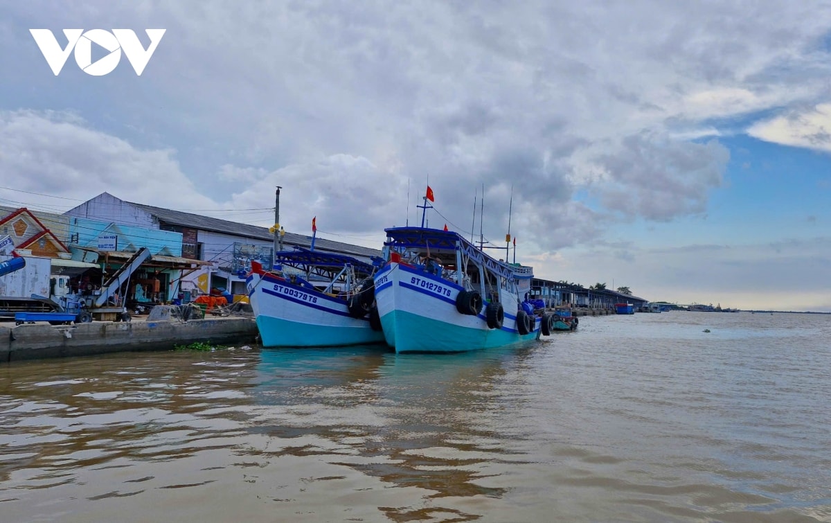 Dbscl kien tao cuc tang truong moi sau sap nhap de vuon minh ra bien lon hinh anh 3