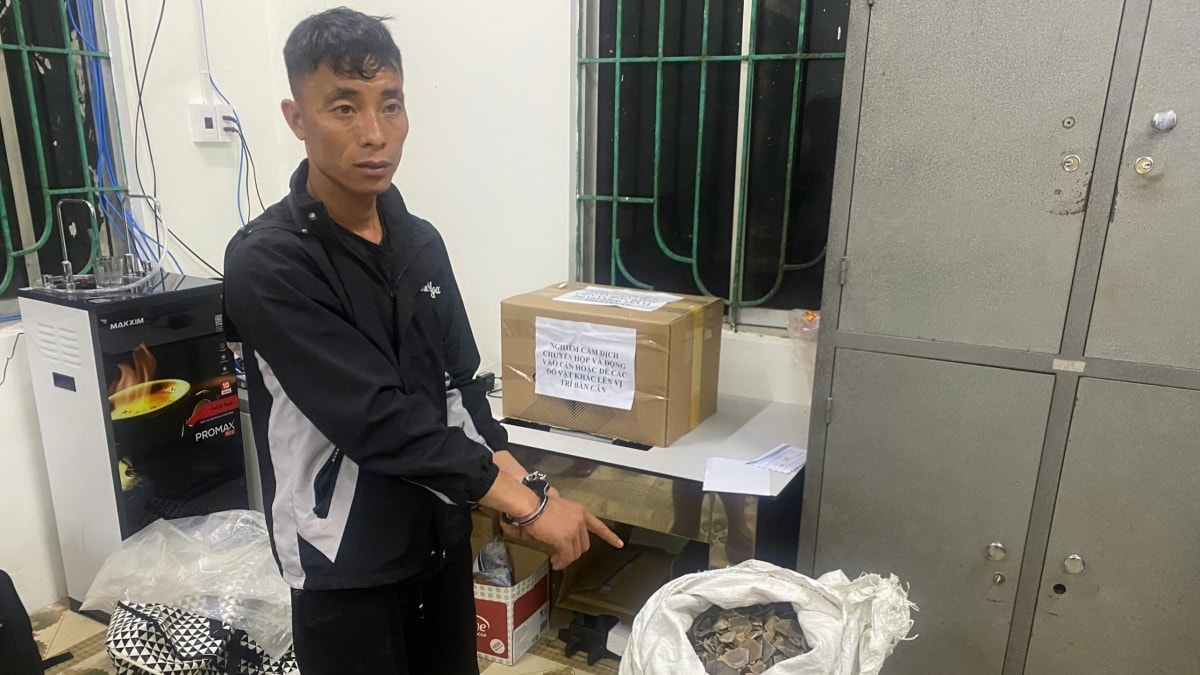 bắt giữ đối tượng vận chuyển vảy tê tê và heroin hình ảnh 1 bat giu doi tuong van chuyen vay te te va heroin hinh anh 1