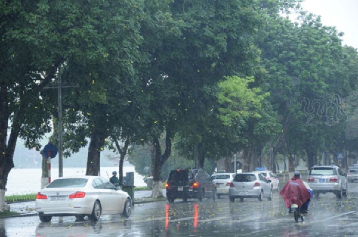 thời tiết hôm nay 4 7 bắc bộ và từ thanh hóa đến quảng ngãi có mưa rào và dông hình ảnh 1 thoi tiet hom nay 4 7 bac bo va tu thanh hoa den quang ngai co mua rao va dong hinh anh 1