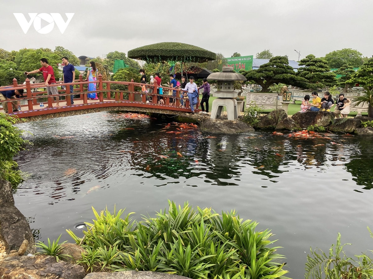 sau sáp nhập, thái nguyên phát triển tour vùng trà - chiến khu - hồ trên núi hình ảnh 5 sau sap nhap, thai nguyen phat trien tour vung tra - chien khu - ho tren nui hinh anh 5