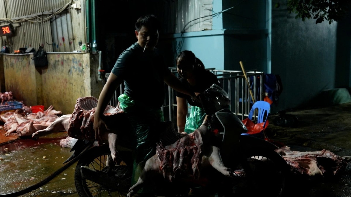 toan canh duong day cung cap thit lon benh vua bi cong an ha noi triet pha hinh anh 4