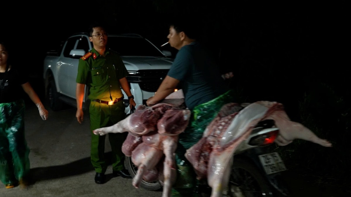 toan canh duong day cung cap thit lon benh vua bi cong an ha noi triet pha hinh anh 5