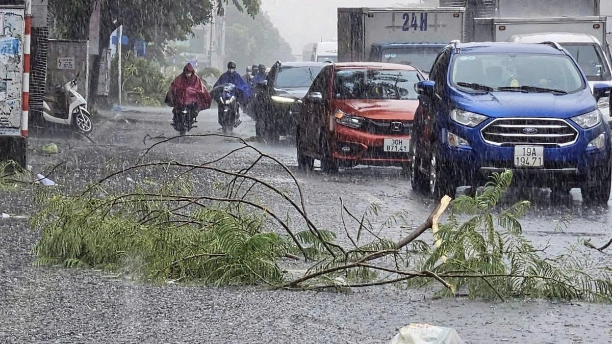 thoi tiet hom nay 11 7 bac bo va bac trung bo co mua vua, mua to va dong hinh anh 1