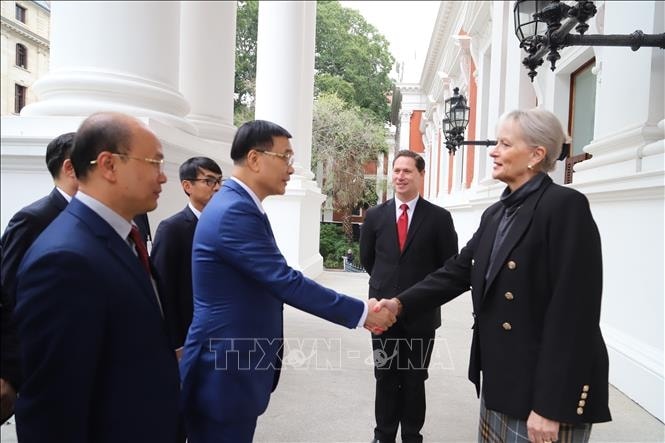 phó chủ tịch quốc hội vũ hồng thanh hội kiến chủ tịch thượng viện nam phi hình ảnh 3 pho chu tich quoc hoi vu hong thanh hoi kien chu tich thuong vien nam phi hinh anh 3