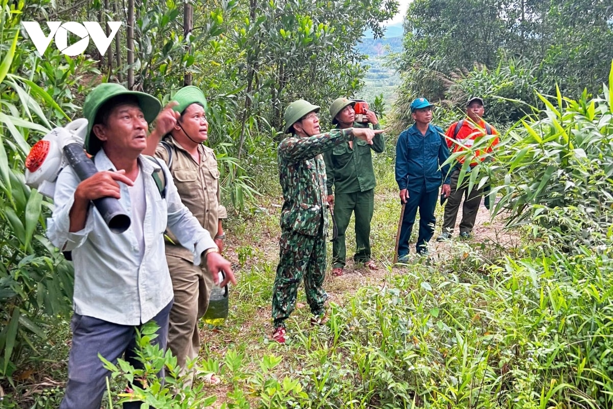 gần 100 người xuyên đêm khống chế đám cháy rừng keo hơn 10 hecta hình ảnh 3 gan 100 nguoi xuyen dem khong che dam chay rung keo hon 10 hecta hinh anh 3