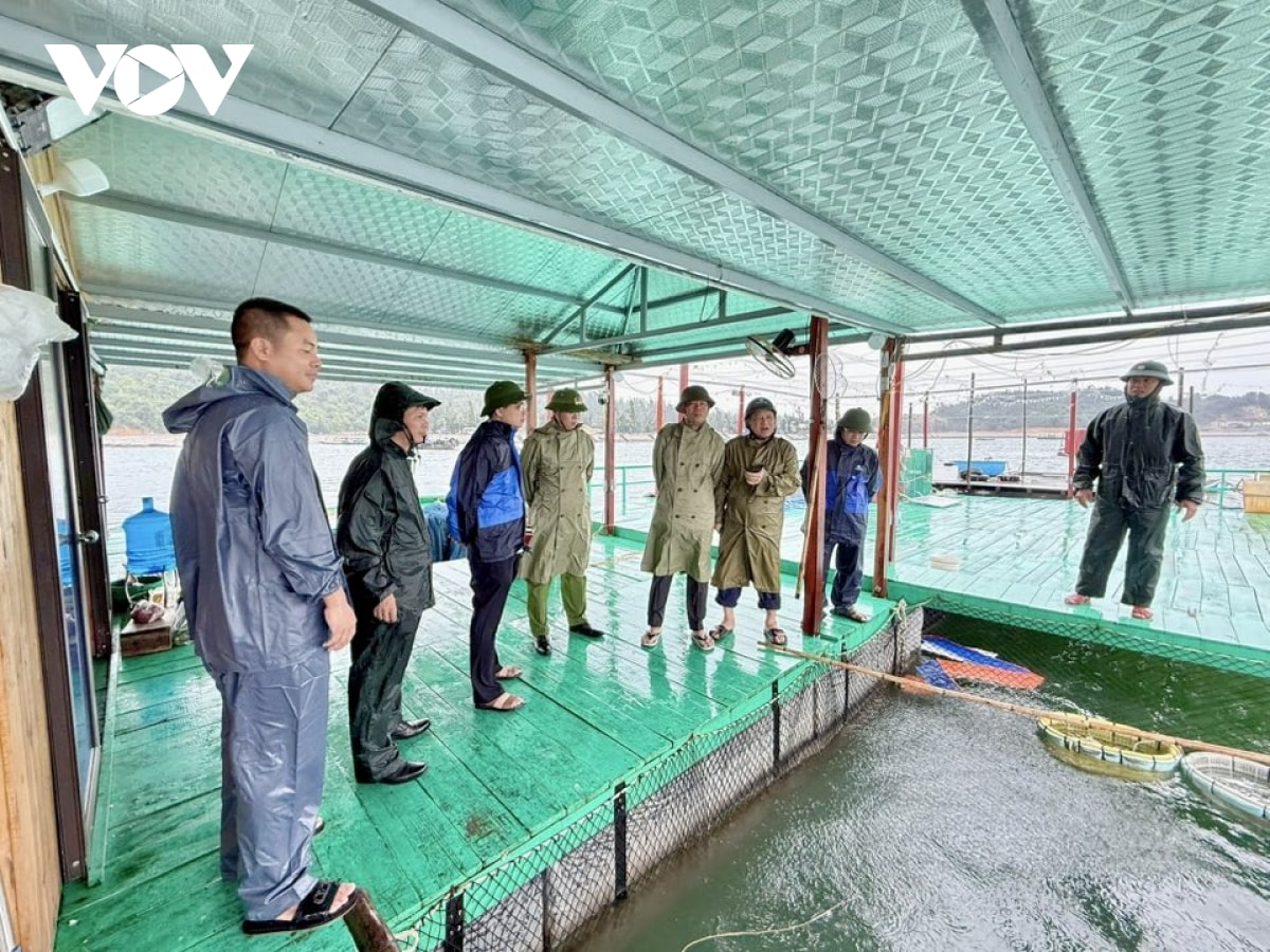 người dân quảng ninh chủ động phòng tránh bão số 3 hình ảnh 2 nguoi dan quang ninh chu dong phong tranh bao so 3 hinh anh 2