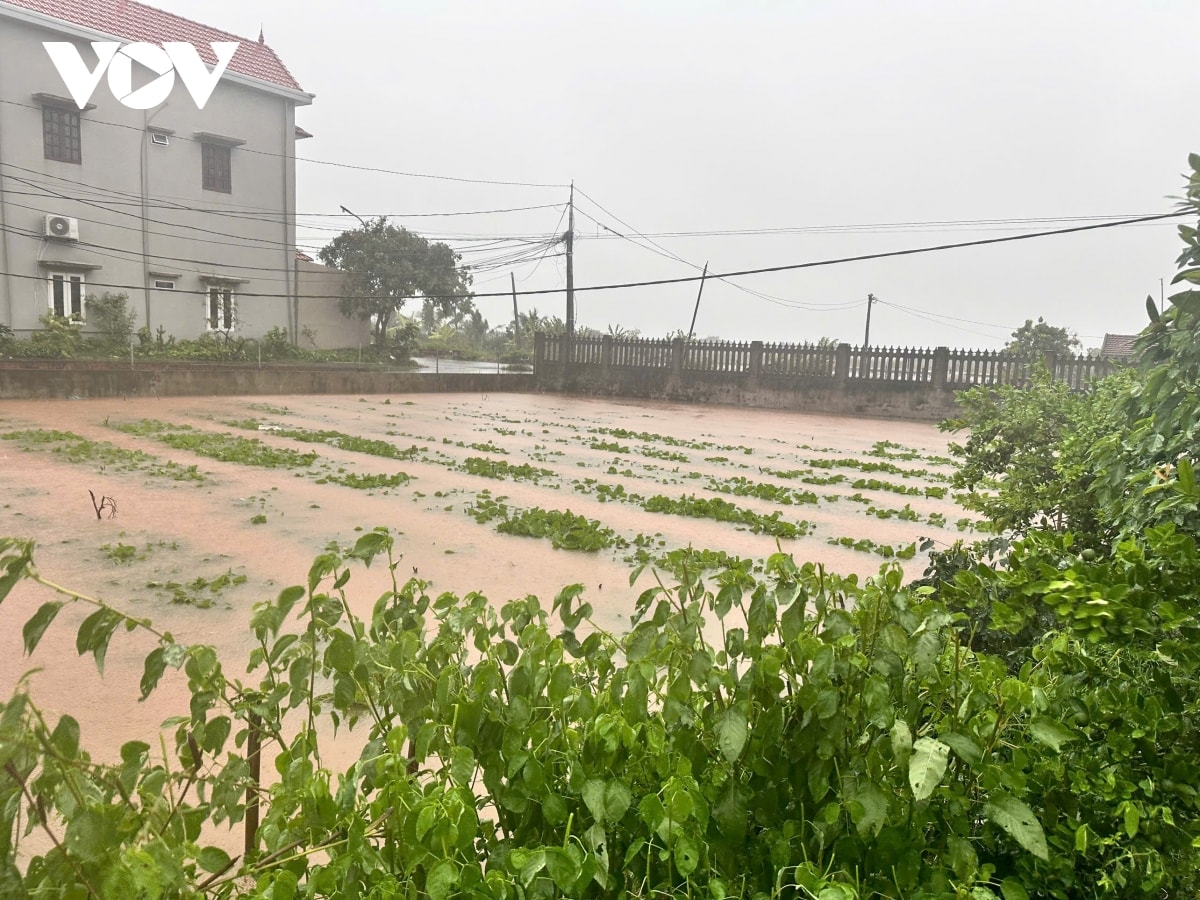 trực tiếp bão số 3 đổ bộ vào đất liền, thanh hóa mưa lớn, nhiều đường phố ngập sâu hình ảnh 22 truc tiep bao so 3 do bo vao dat lien, thanh hoa mua lon, nhieu duong pho ngap sau hinh anh 22