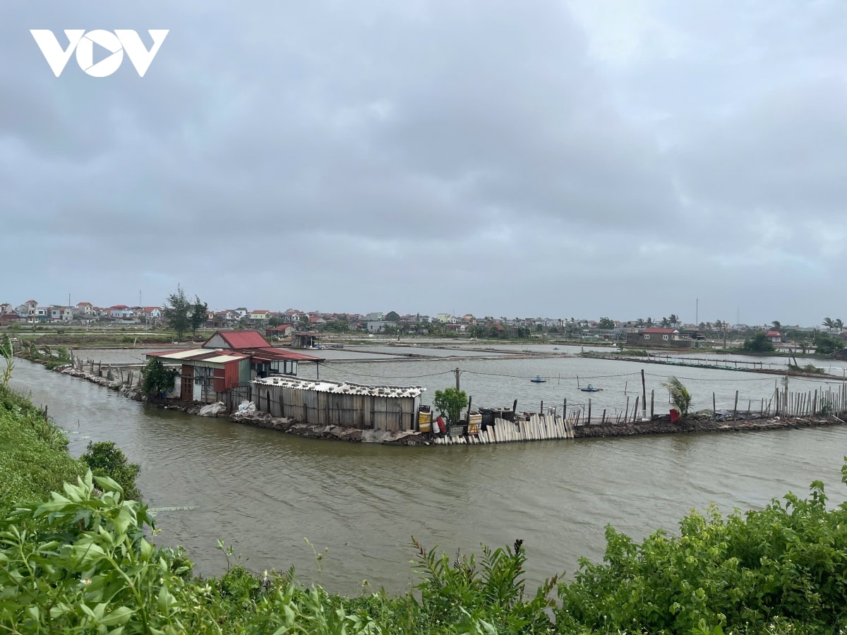 trực tiếp bão số 3 đổ bộ vào đất liền, thanh hóa mưa lớn, nhiều đường phố ngập sâu hình ảnh 72 truc tiep bao so 3 do bo vao dat lien, thanh hoa mua lon, nhieu duong pho ngap sau hinh anh 72
