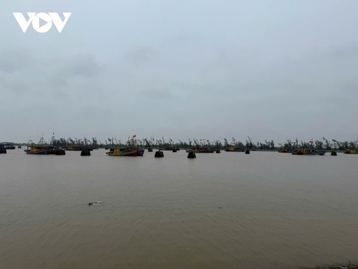 trực tiếp bão số 3 bắt đầu ảnh hưởng tới đất liền, mưa lớn, gió giật mạnh hình ảnh 7 truc tiep bao so 3 bat dau anh huong toi dat lien, mua lon, gio giat manh hinh anh 7