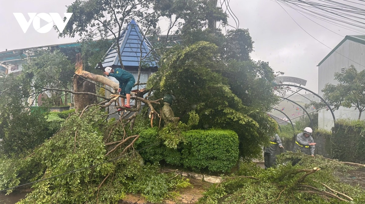 các địa phương sẵn sàng, chủ động ứng phó hoàn lưu bão số 3 hình ảnh 8 cac dia phuong san sang, chu dong ung pho hoan luu bao so 3 hinh anh 8