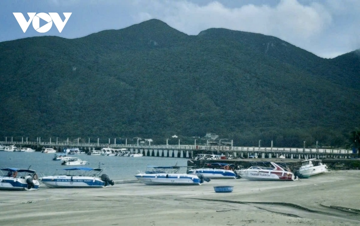 con Dao ra soat tau thuyen du lich, bao dam an toan cho du khach hinh anh 1