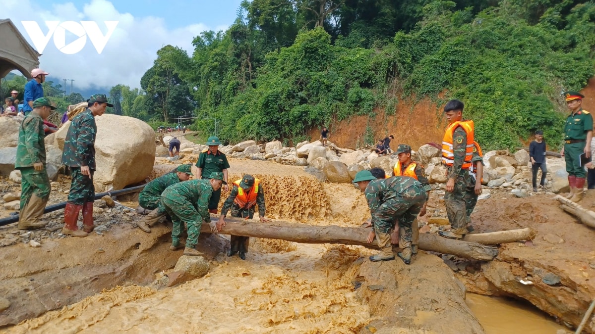 dam trong bun lu giup dan khac phuc hau qua thien tai o son la hinh anh 12