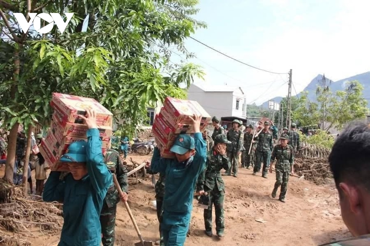 dam trong bun lu giup dan khac phuc hau qua thien tai o son la hinh anh 2