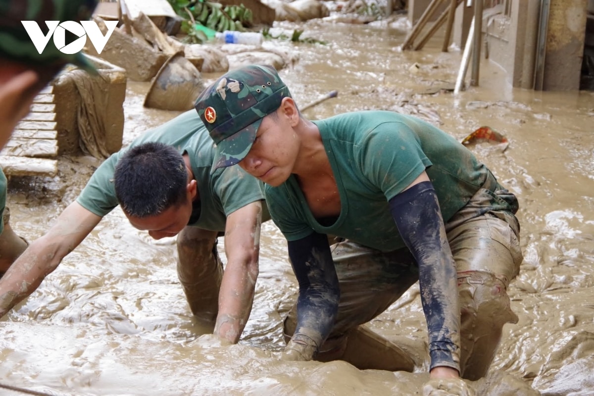 dam trong bun lu giup dan khac phuc hau qua thien tai o son la hinh anh 8