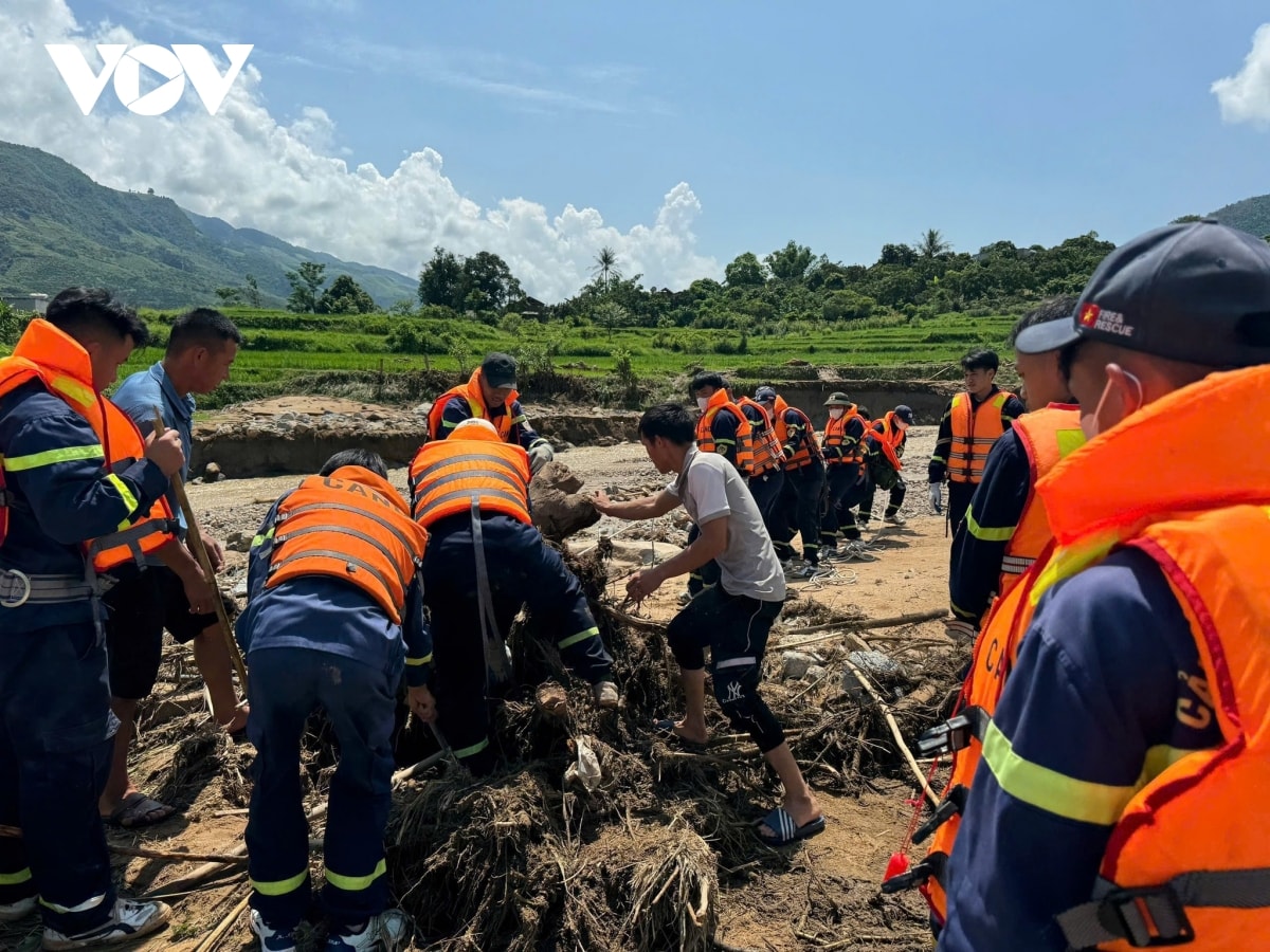 dam trong bun lu giup dan khac phuc hau qua thien tai o son la hinh anh 6