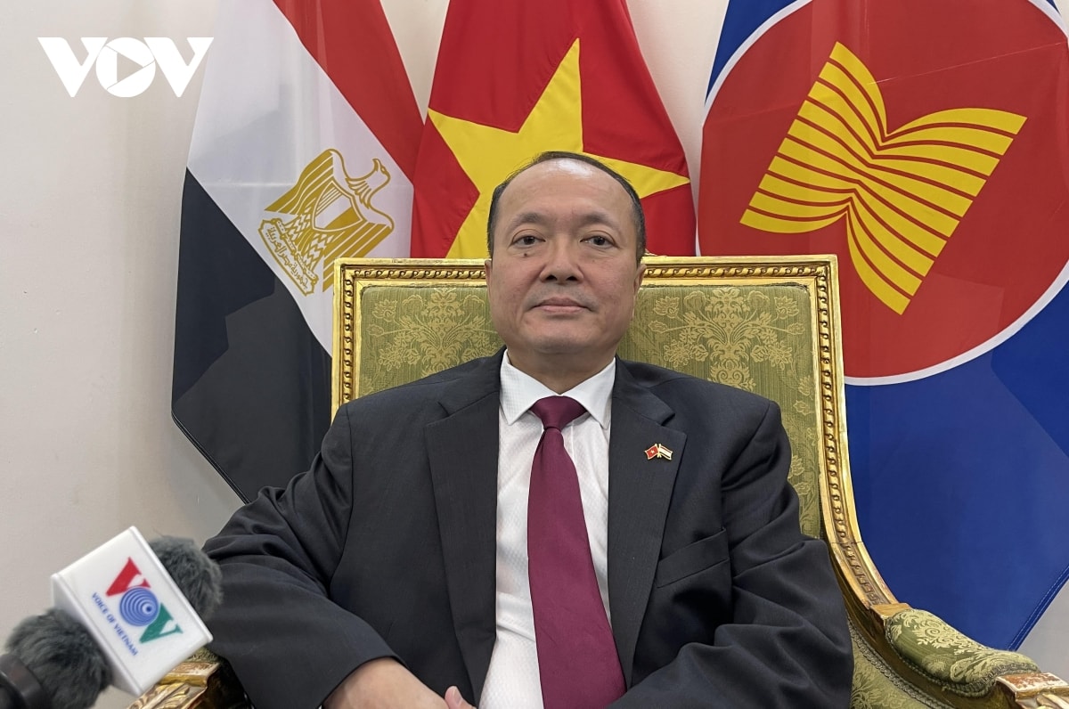 chuyến thăm của chủ tịch nước có ý nghĩa chiến lược với quan hệ việt nam - ai cập hình ảnh 1 chuyen tham cua chu tich nuoc co y nghia chien luoc voi quan he viet nam - ai cap hinh anh 1