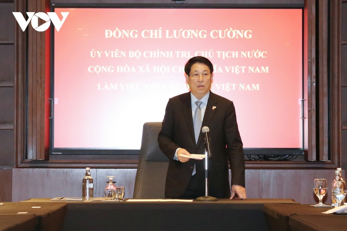 chủ tịch nước lương cường làm việc với các Đại sứ việt nam tại khu vực châu phi hình ảnh 4 chu tich nuoc luong cuong lam viec voi cac Dai su viet nam tai khu vuc chau phi hinh anh 4