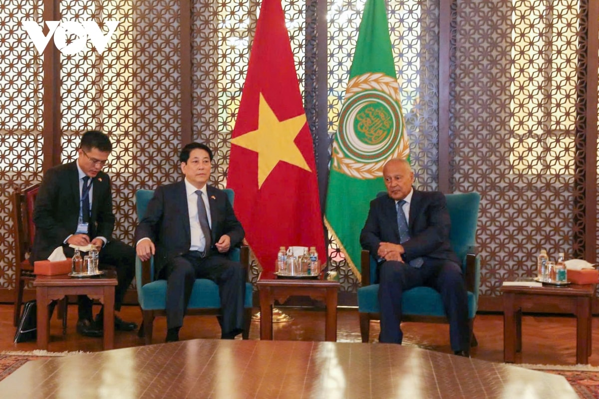 chu tich nuoc luong cuong gap tong thu ky lien doan arab ahmed aboul gheit hinh anh 1