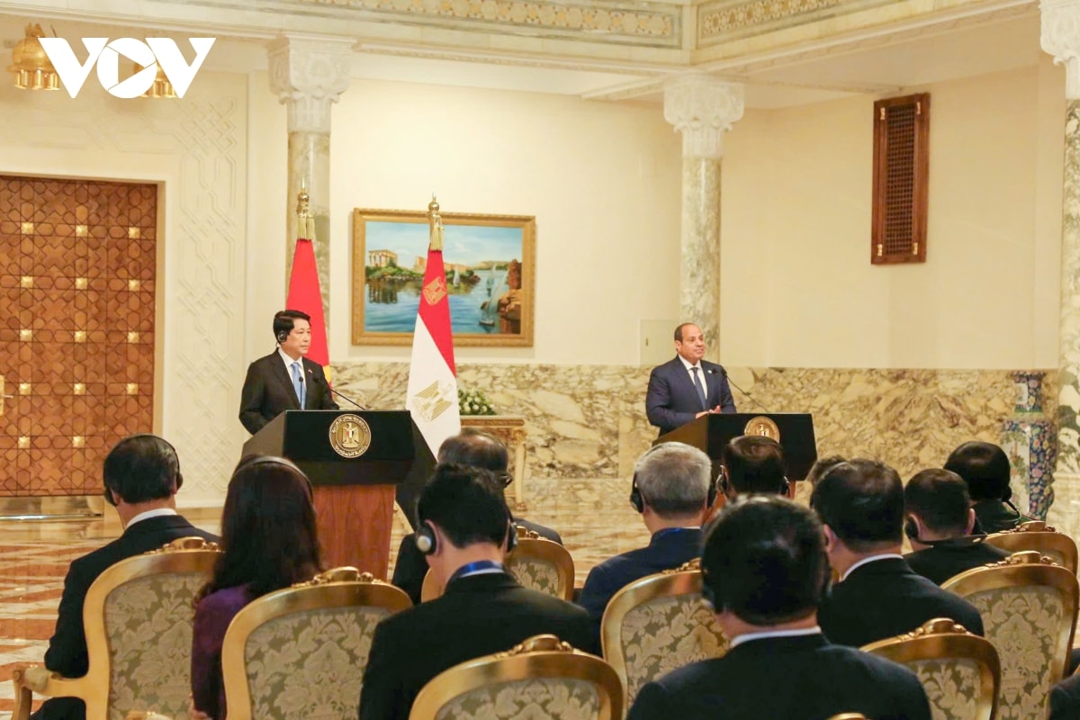 chủ tịch nước lương cường và tổng thống abdel fattah al-sisi gặp gỡ báo chí hình ảnh 5 chu tich nuoc luong cuong va tong thong abdel fattah al-sisi gap go bao chi hinh anh 5