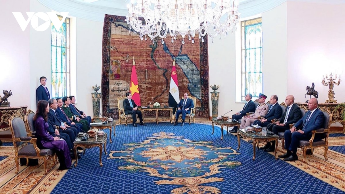 chu tich nuoc luong cuong va tong thong abdel fattah al-sisi gap go bao chi hinh anh 6