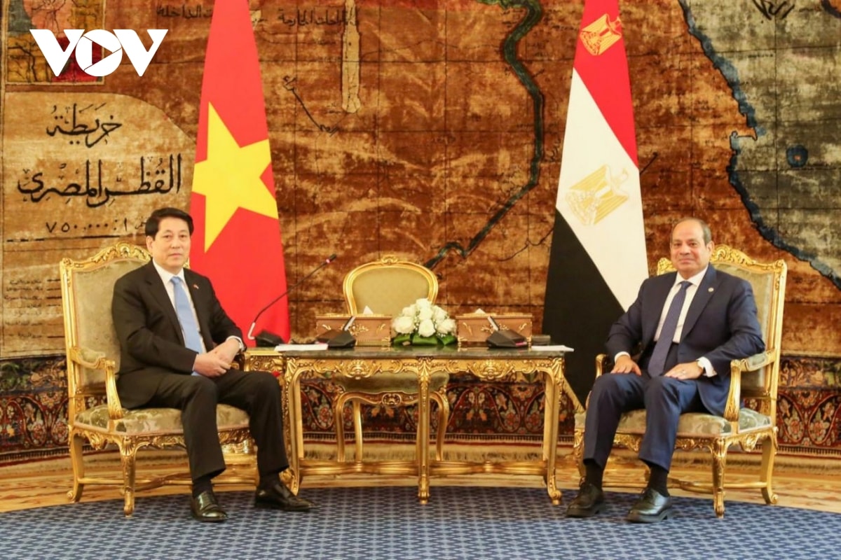 chu tich nuoc luong cuong va tong thong abdel fattah al-sisi gap go bao chi hinh anh 4