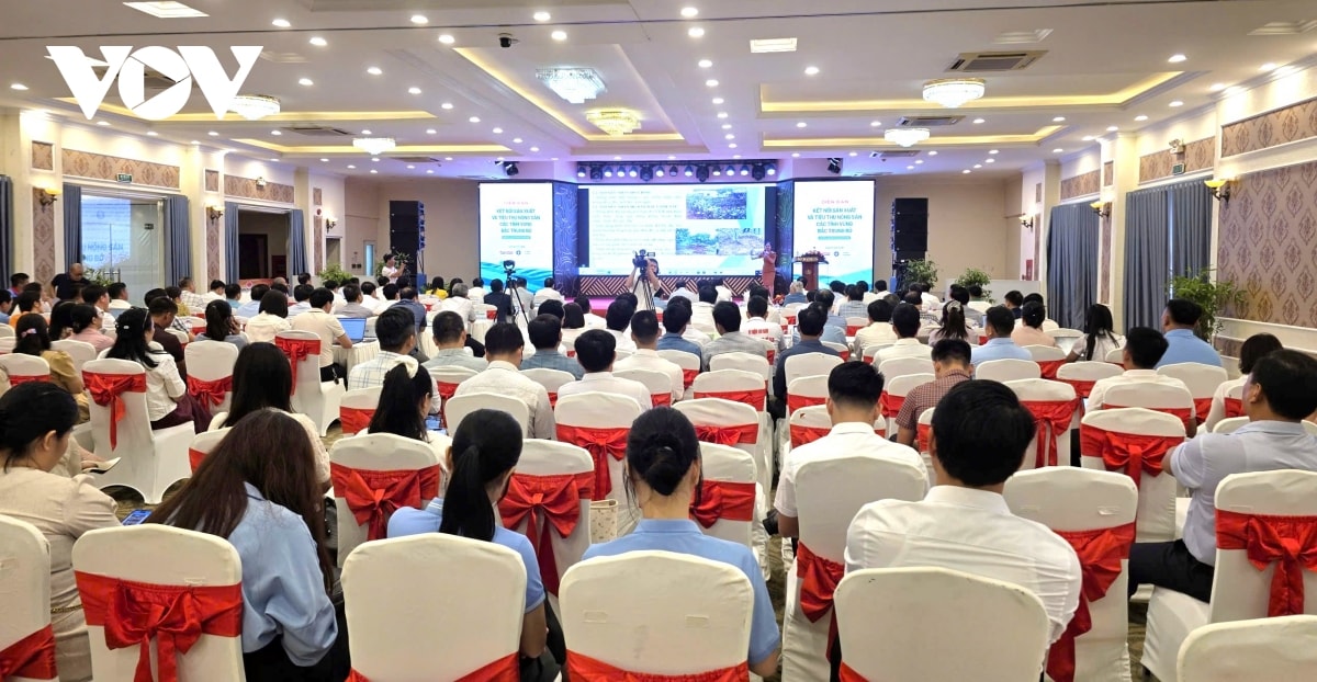 25 tấn gạo từ diễn đàn kết nối chuỗi giá trị nông sản giúp người dân vùng lũ nghệ an hình ảnh 2 25 tan gao tu dien dan ket noi chuoi gia tri nong san giup nguoi dan vung lu nghe an hinh anh 2