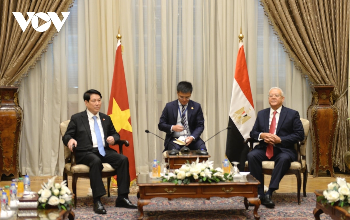 chủ tịch nước lương cường hội kiến chủ tịch hạ viện ai cập hanafy el gebaly hình ảnh 1 chu tich nuoc luong cuong hoi kien chu tich ha vien ai cap hanafy el gebaly hinh anh 1