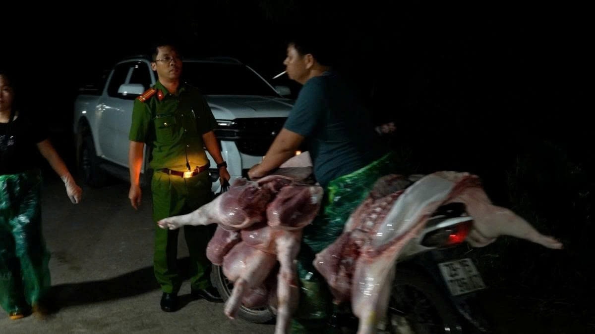 thit lon nhiem dich ta chau phi An vao nguy hiem nhu the nao hinh anh 1