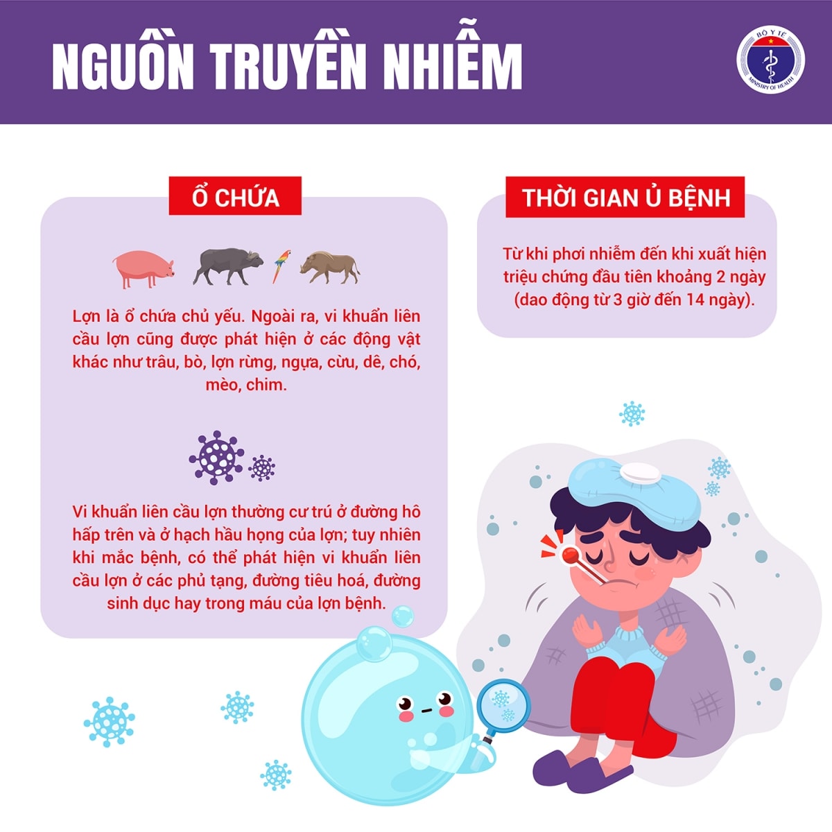 so ca mac lien cau lon o hue va hung yen tang, bo y te chi dao khan hinh anh 3