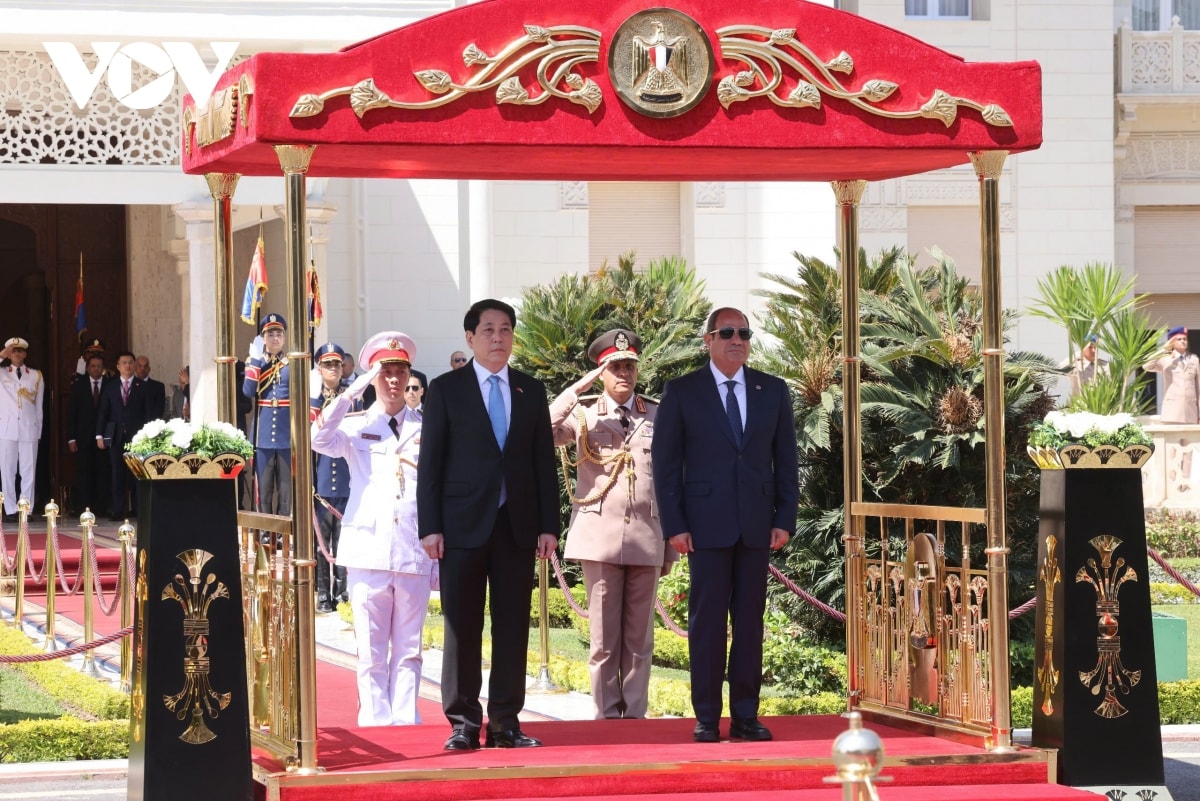 thúc đẩy quan hệ hợp tác giữa việt nam với ai cập và angola lên tầm cao mới hình ảnh 3 thuc day quan he hop tac giua viet nam voi ai cap va angola len tam cao moi hinh anh 3