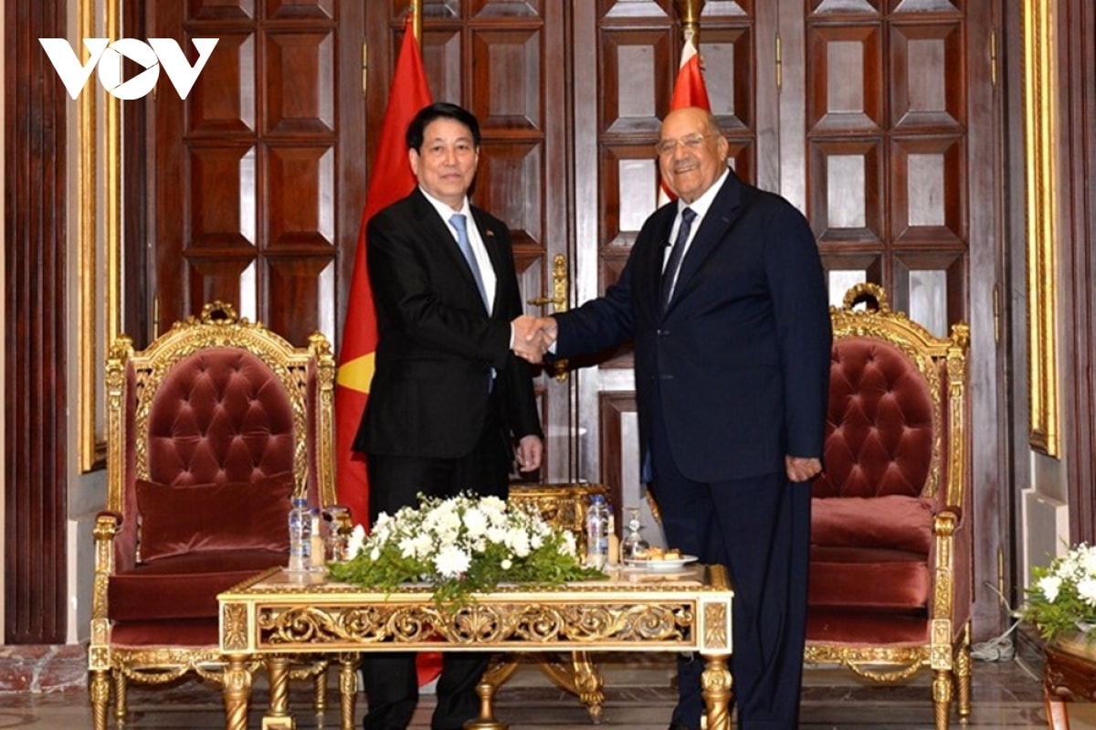 toan canh chuyen tham cap nha nuoc toi ai cap va angola cua chu tich nuoc luong cuong hinh anh 12