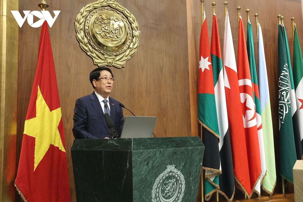toan canh chuyen tham cap nha nuoc toi ai cap va angola cua chu tich nuoc luong cuong hinh anh 3