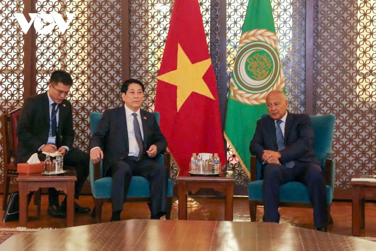 toan canh chuyen tham cap nha nuoc toi ai cap va angola cua chu tich nuoc luong cuong hinh anh 4