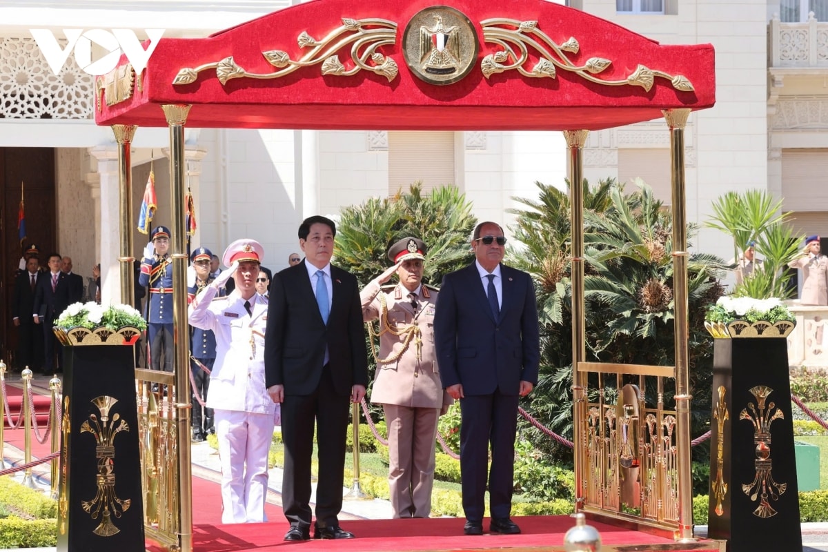 toan canh chuyen tham cap nha nuoc toi ai cap va angola cua chu tich nuoc luong cuong hinh anh 7